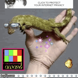 awesome gecko moment